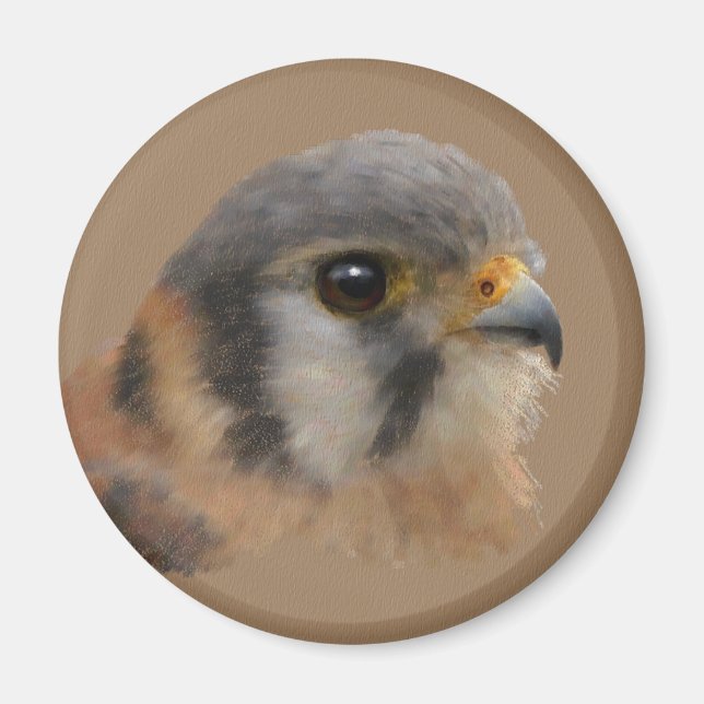 Imã Kestrel Americano (Frente)