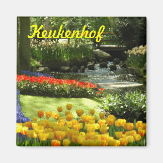 Imã Keukenhof