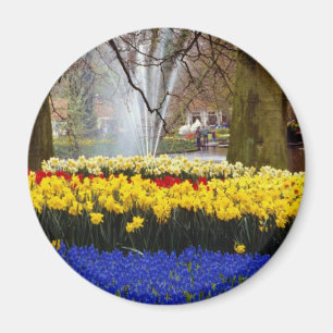 Imã Keukenhof amarelo jardina, Amsterdão, Países