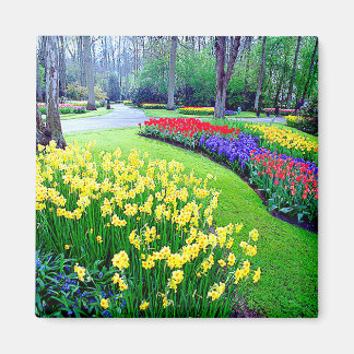 IMÃ KEUKENHOF GARDENS, LISSE HOLLAND