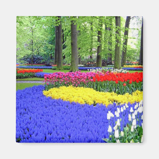 IMÃ KEUKENHOF GARDENS, LISSE HOLLAND