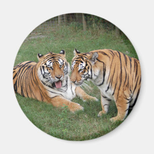 Imã khan-n-china009