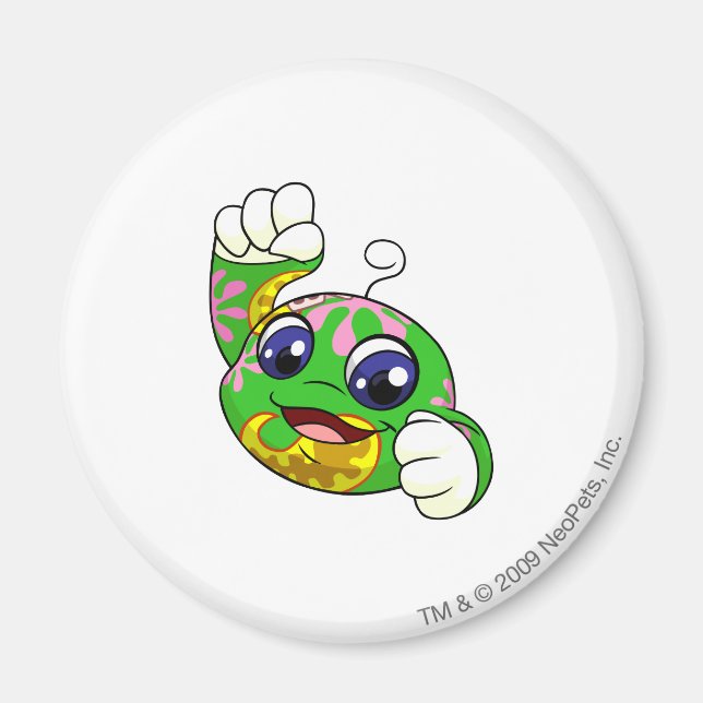 Imã Kiko Disco (Frente)