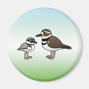 Imã Killdeer & pintinho