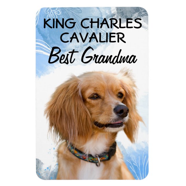 Ímã King Charles Cavalier Melhor Magnet (Vertical)