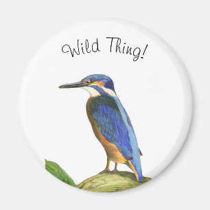 Imã Kingfisher