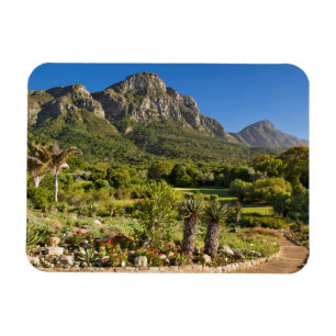 Ímã Kirstenbosch Botanic Gardens, Cidade do Cabo