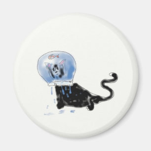 Imã kitteh do astronauta