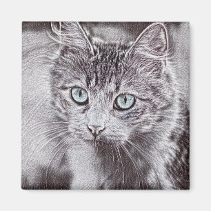 Imã Kitten Adorava Gato De Gatinho Gelado Com Olhos Az