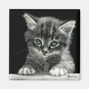 Imã Kitten Magnet - "Futuro Brilhante"