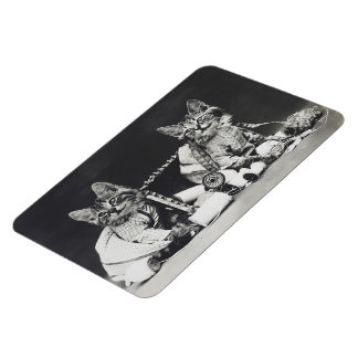 Ímã Kitten Mishead Makers 1914