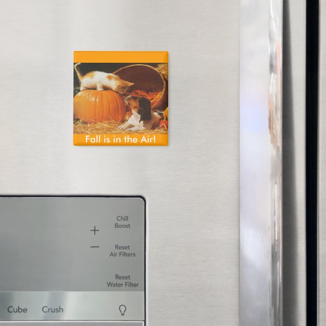 Imã Kitten, Pumpkin e Puppy (In Situ (Fridge))
