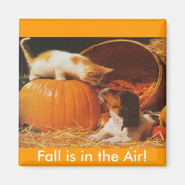 Imã Kitten, Pumpkin e Puppy (Frente)