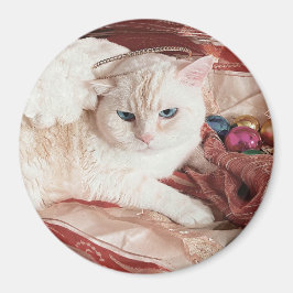 Imã Kitty Angel para o Natal
