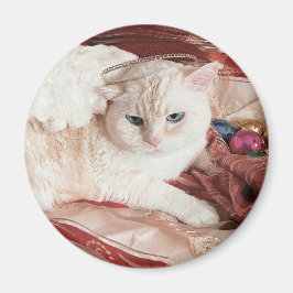 Imã Kitty Angel para o Natal