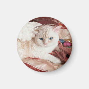 Imã Kitty Angel para o Natal