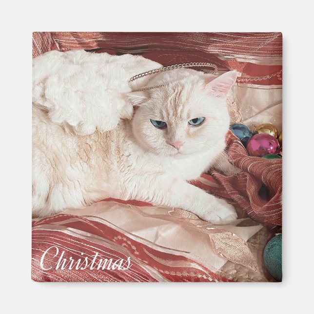 Imã Kitty Angel para o Natal (Frente)