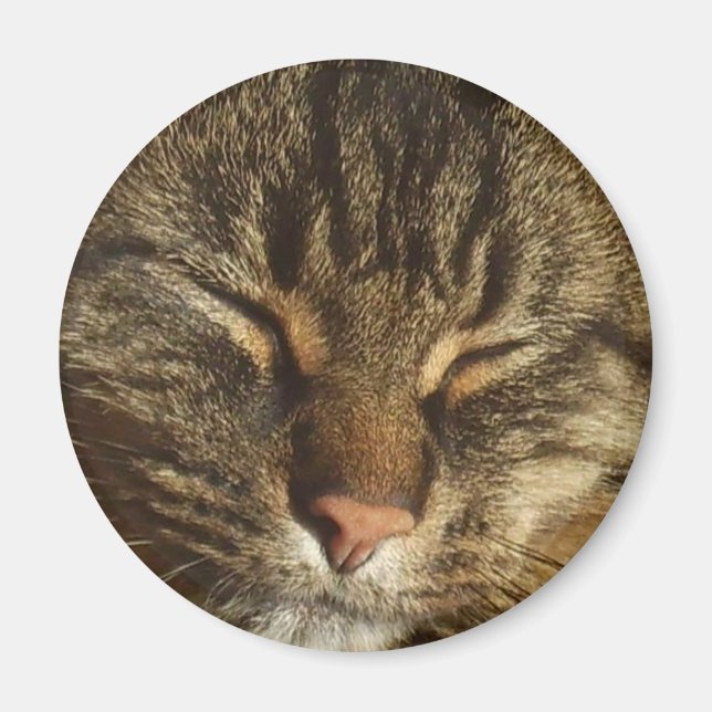 Imã Kitty Cat Magnet (Frente)