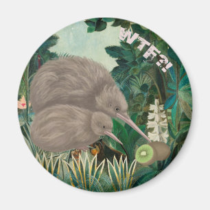 Imã Kiwi