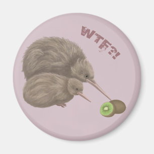 Imã Kiwi