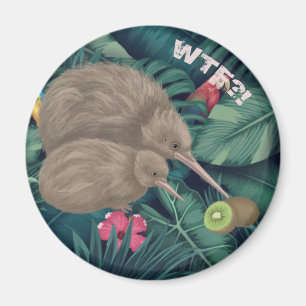 Imã Kiwi