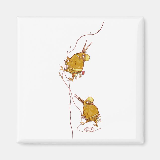 Imã Kiwi NZ BIRDS ROCK CLIMBING (Frente)