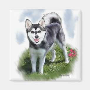 Imã Klee Kai Art