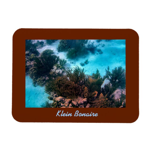Ímã Klein Bonaire Reef (Horizontal)