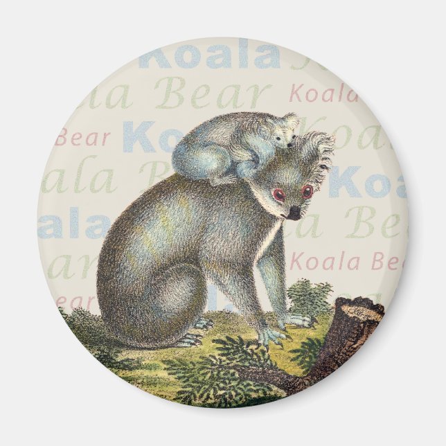 Imã Koala Bear Magnet (Frente)