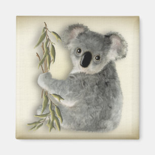 Imã Koala bonito