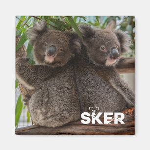 Imã Koala Joey
