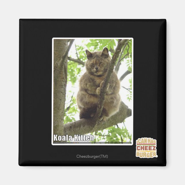 Imã Koala KITH (Frente)