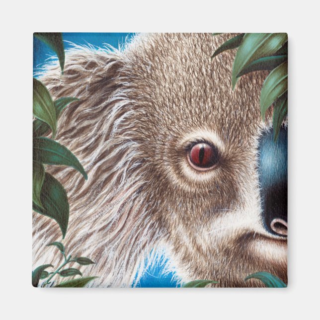 Imã Koala Magnet (Frente)