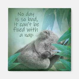 Imã Koala Nap