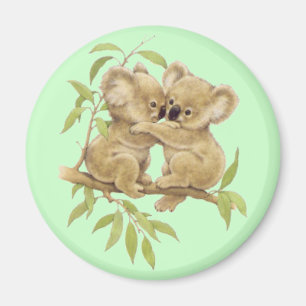 Imã Koalas bonitos