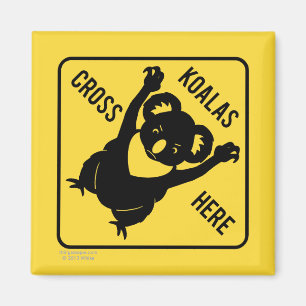Imã Koalas Cross Here Magnet