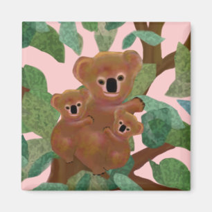 Imã Koalas no eucalipto