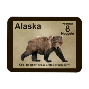 Ímã Kodiak Bear