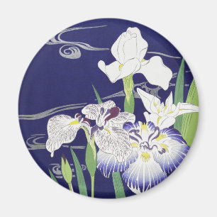 Imã Kogyo Tsukioka Irises,Arte Flor Japonesa