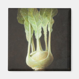 Imã Kohl Rabi 2012