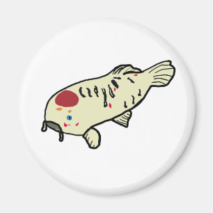 Imã Koi Carp