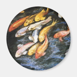 Imã Koi Fish Magnet