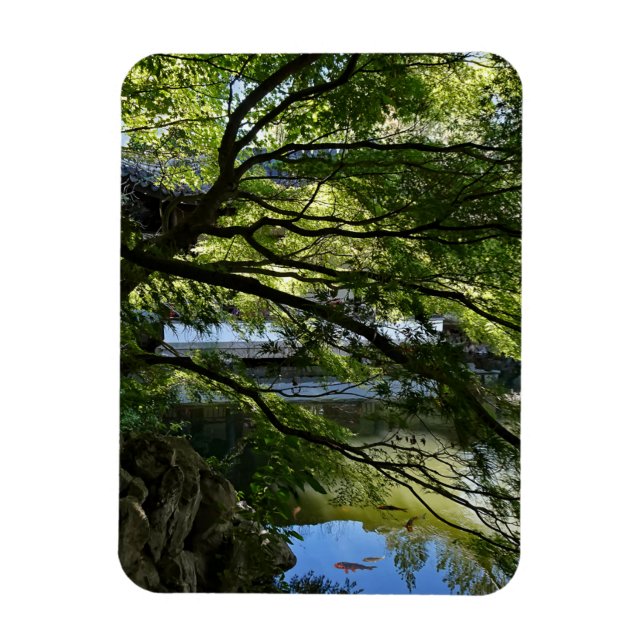 Ímã Koi Pond no Jardim Chinês (Vertical)