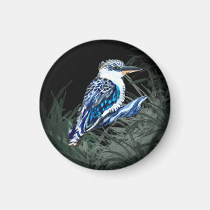 Imã Kookaburra