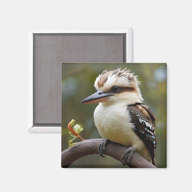Imã Kookaburra (Front/Back)