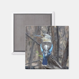 Imã Kookaburra Bird