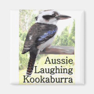 Imã Kookaburra de riso australiano