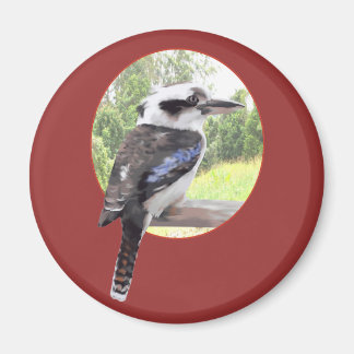 Imã Kookaburra em Círculo