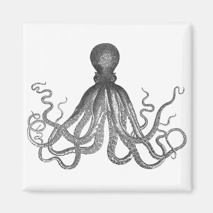 Imã Kraken - Octopus Gigante Negro / Cthulu