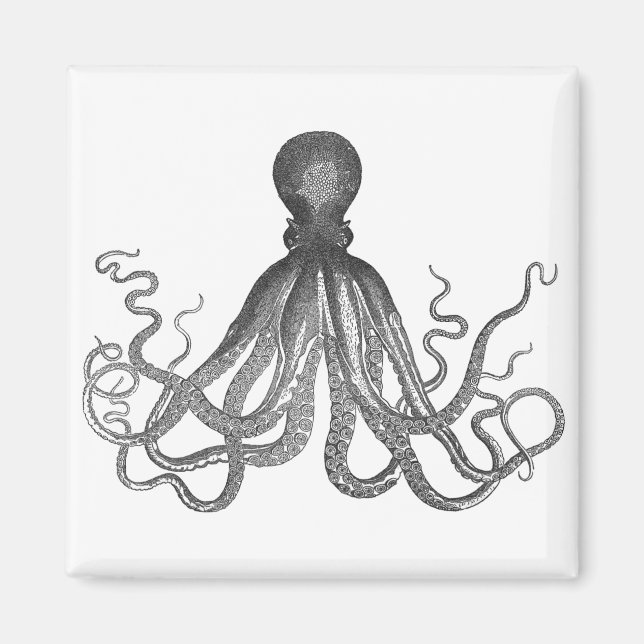 Imã Kraken - Octopus Gigante Negro / Cthulu (Frente)